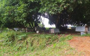 Trang trại mật ong Doanh Hà Phú Thọ