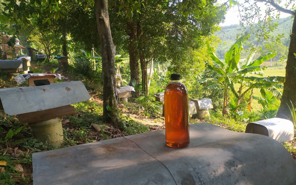 Mật ong lấy ngày 5-7-2024