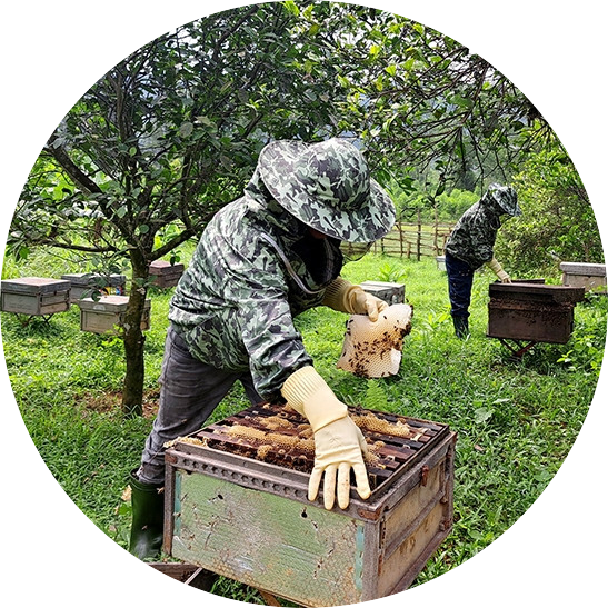 Chủ-trang-trại-mật-ong doanh hà