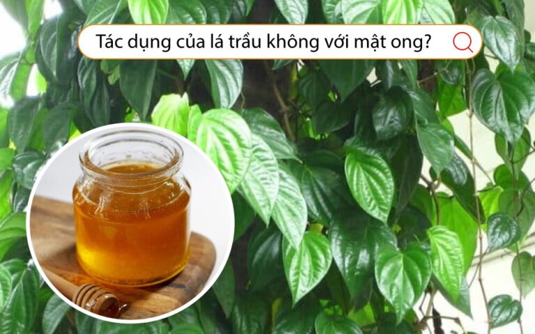 tác dụng của lá trầu không với mật ong