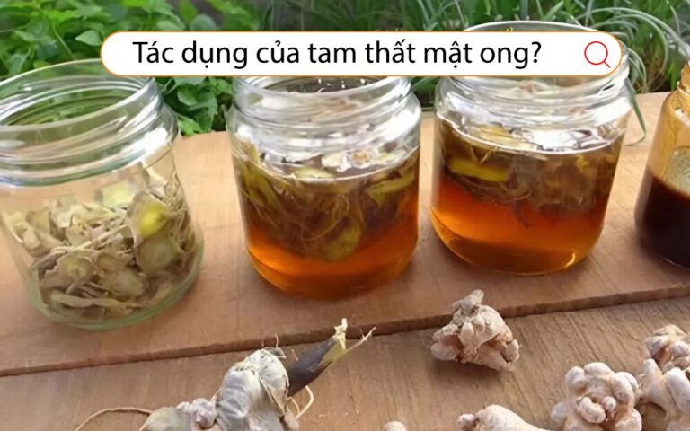 tác-dụng-của-tam-thất-mật-ong