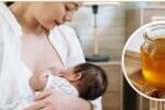 Cho Con Bú Có Uống Mật Ong Được Không?